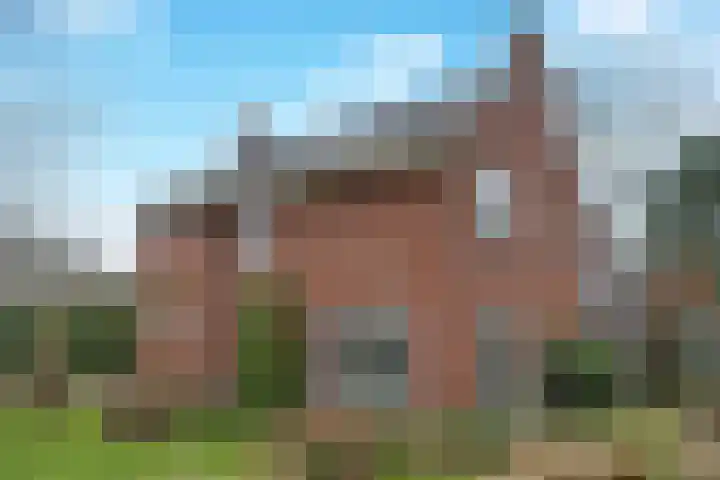 Bachlaan 3 Huizen thumbnail 5