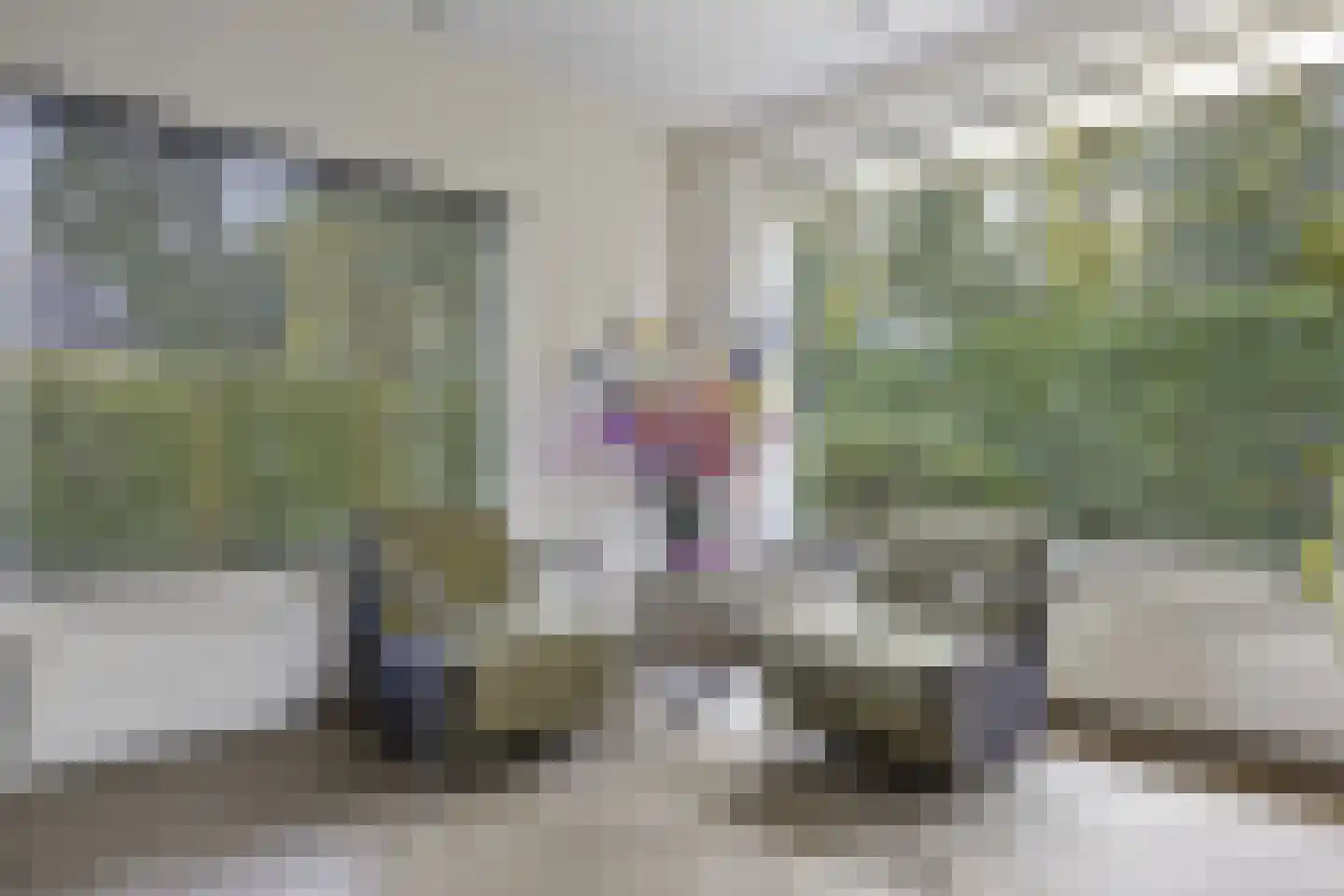 Bachlaan 32 Baarn thumbnail 11