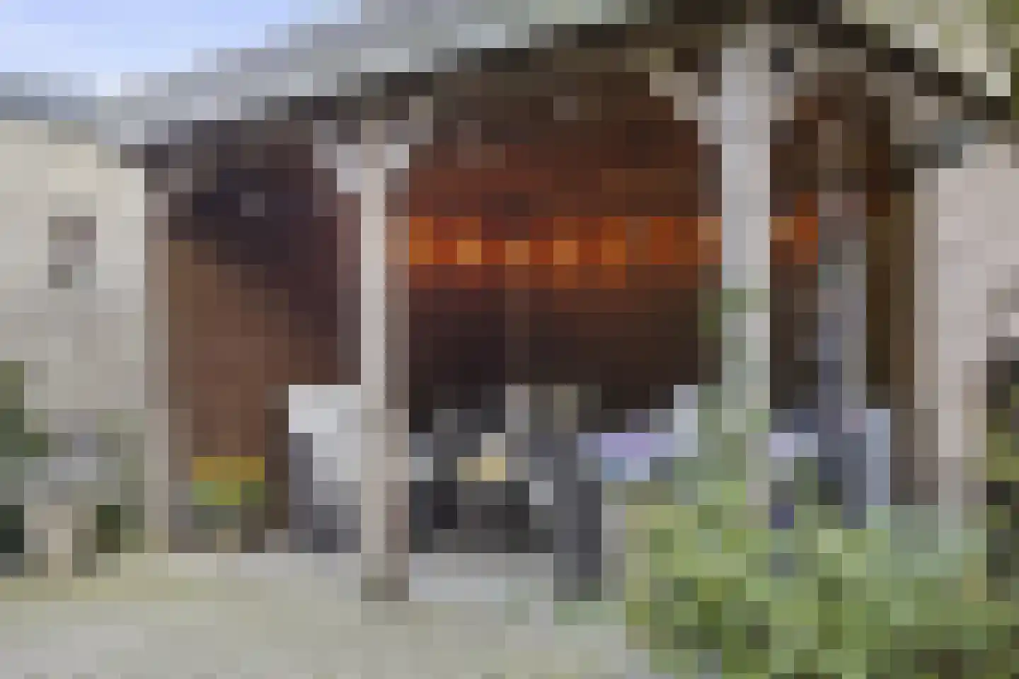 Bachlaan 32 Baarn thumbnail 41