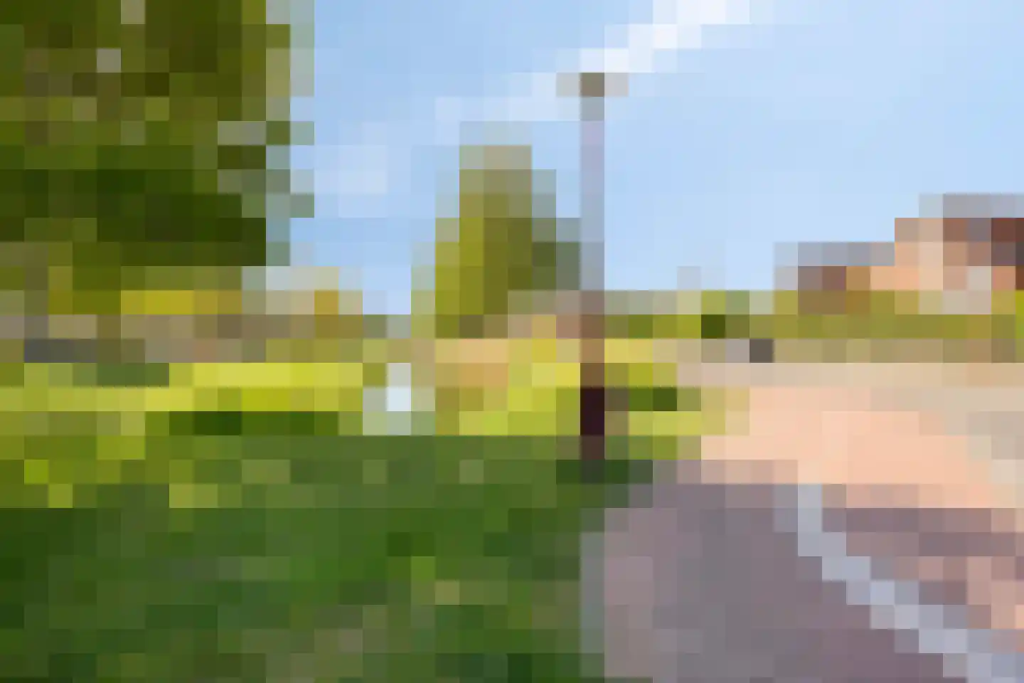 Bachlaan 32 Oud-Beijerland thumbnail 45