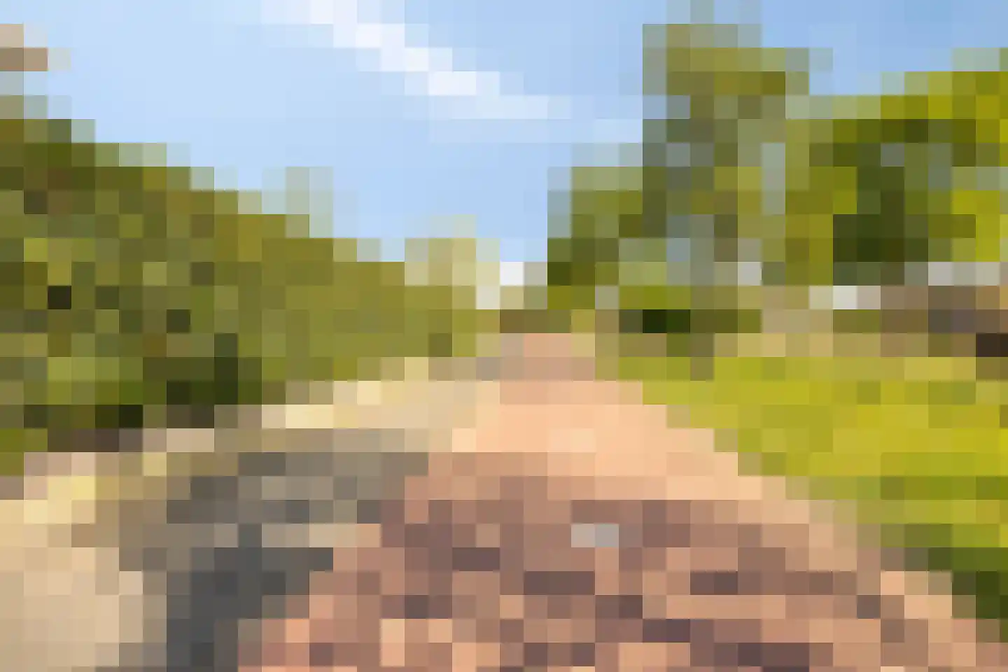 Bachlaan 32 Oud-Beijerland thumbnail 47
