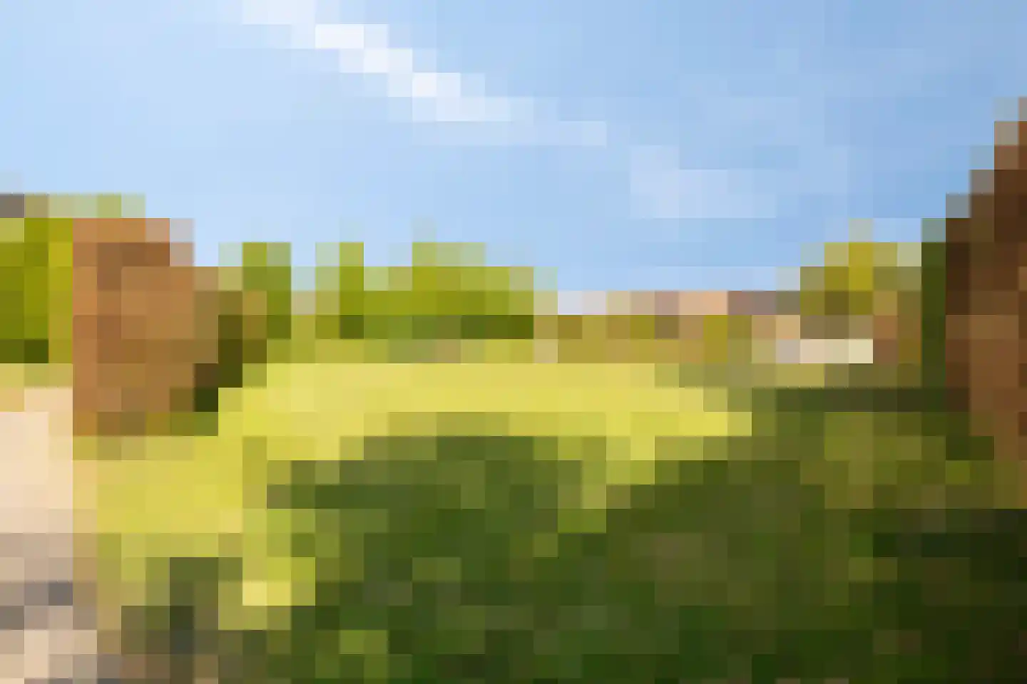 Bachlaan 32 Oud-Beijerland thumbnail 50