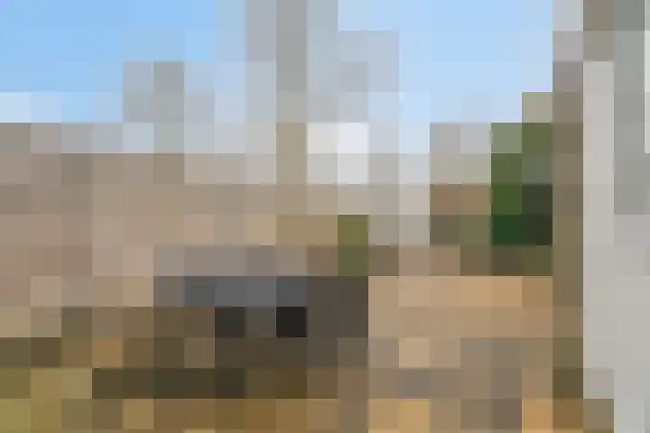 Bachlaan 39 Bunschoten-Spakenburg thumbnail 35