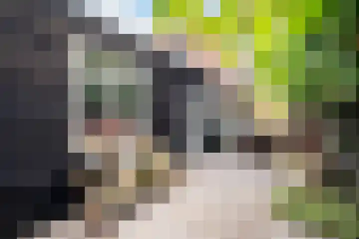 Bachlaan 4 Apeldoorn thumbnail 14