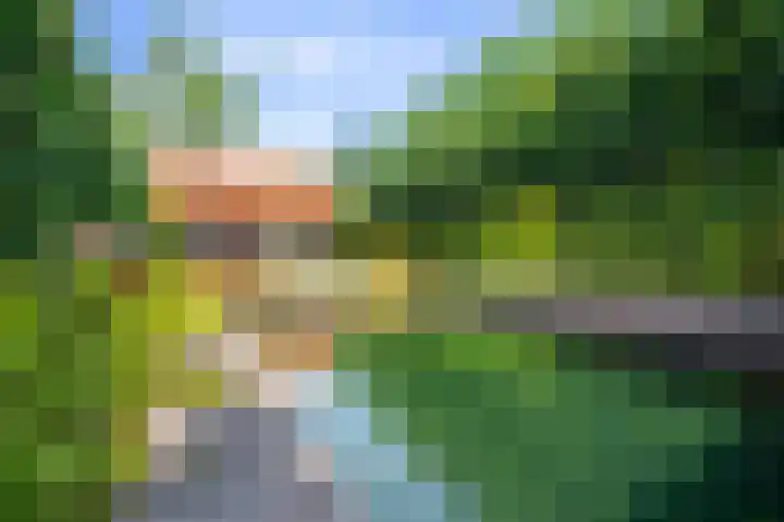 Bachlaan 4 Apeldoorn thumbnail 18