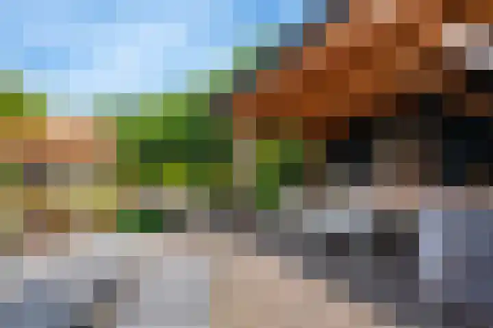 Bachlaan 4 Apeldoorn thumbnail 22