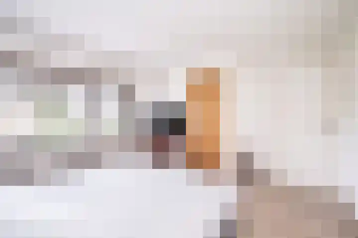 Bachlaan 4 Apeldoorn thumbnail 26