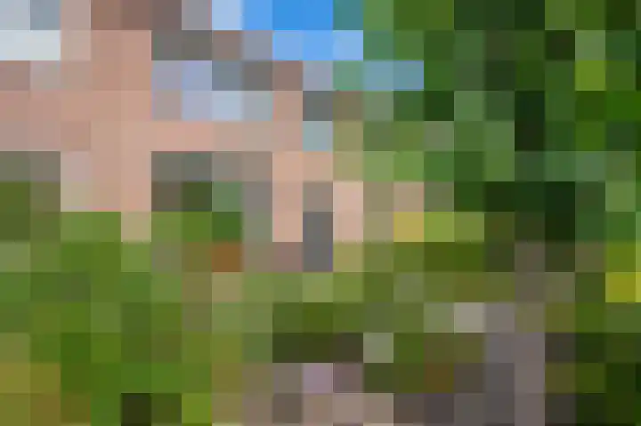 Bachlaan 4 Apeldoorn thumbnail 30