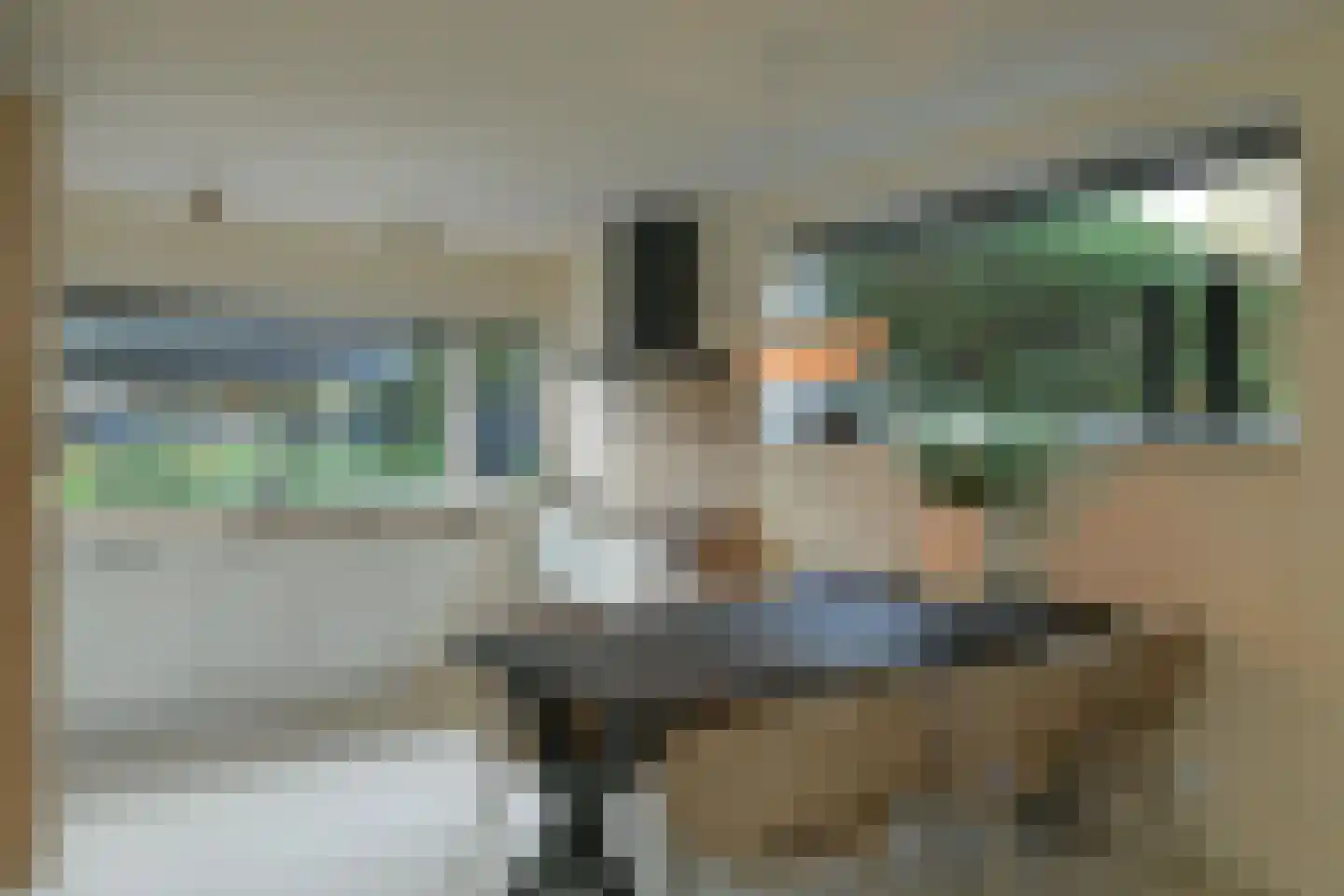 Bachlaan 40 Doorwerth thumbnail 15