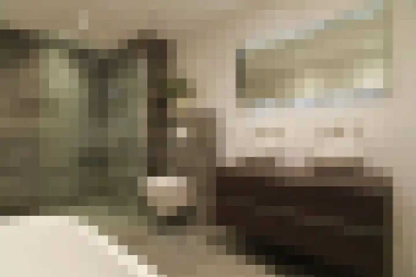 Bachlaan 40 Doorwerth thumbnail 23