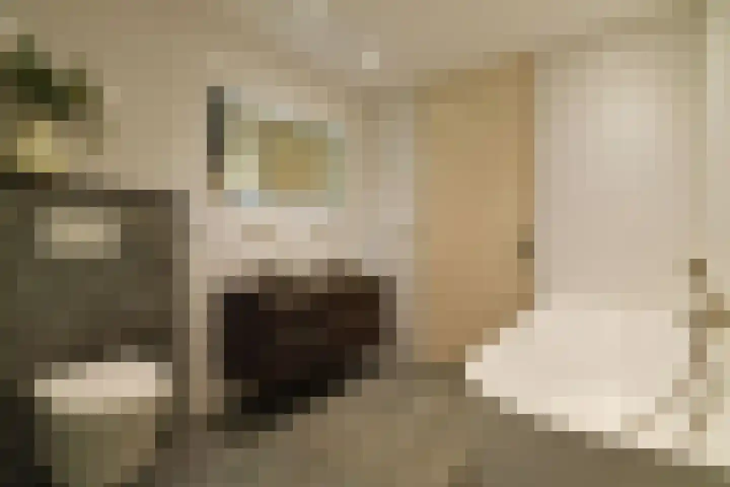 Bachlaan 40 Doorwerth thumbnail 24