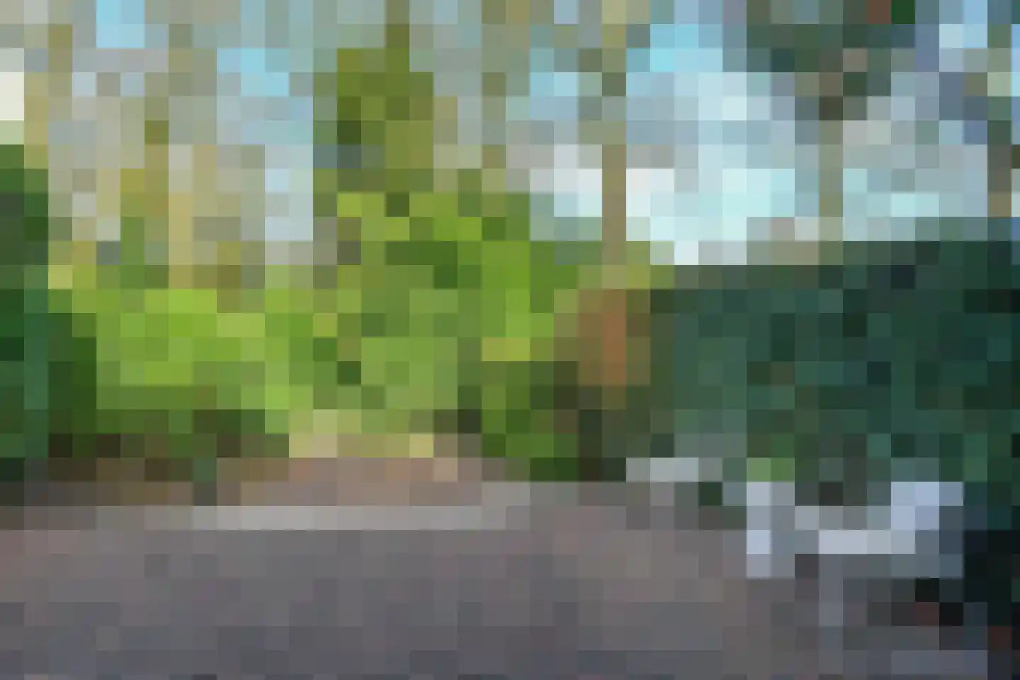 Bachlaan 40 Doorwerth thumbnail 36