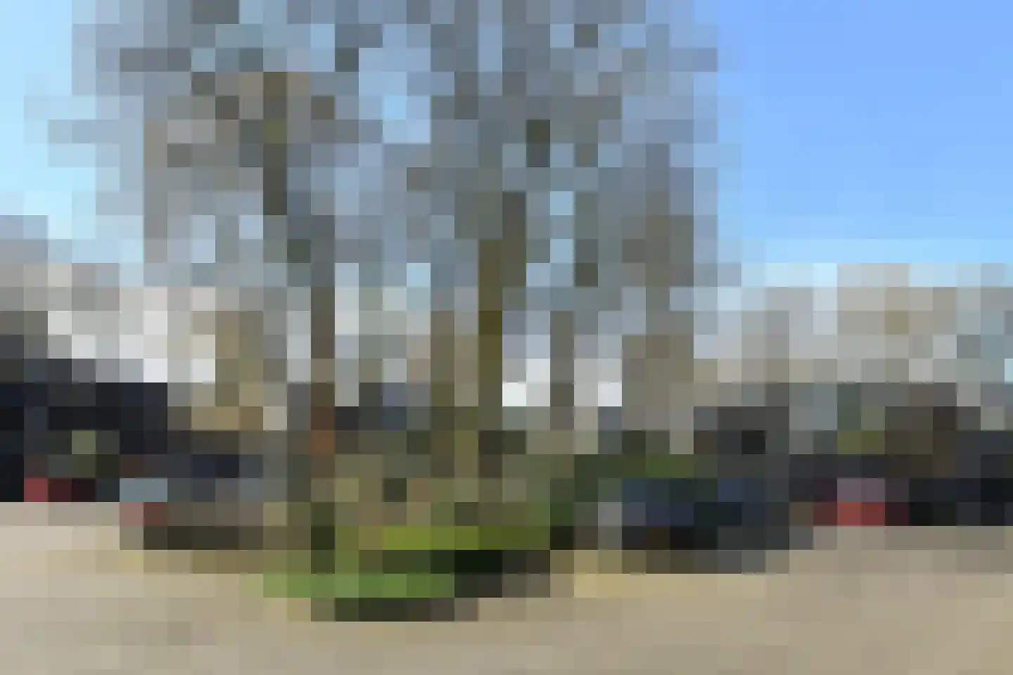 Bachlaan 40 Doorwerth thumbnail 43