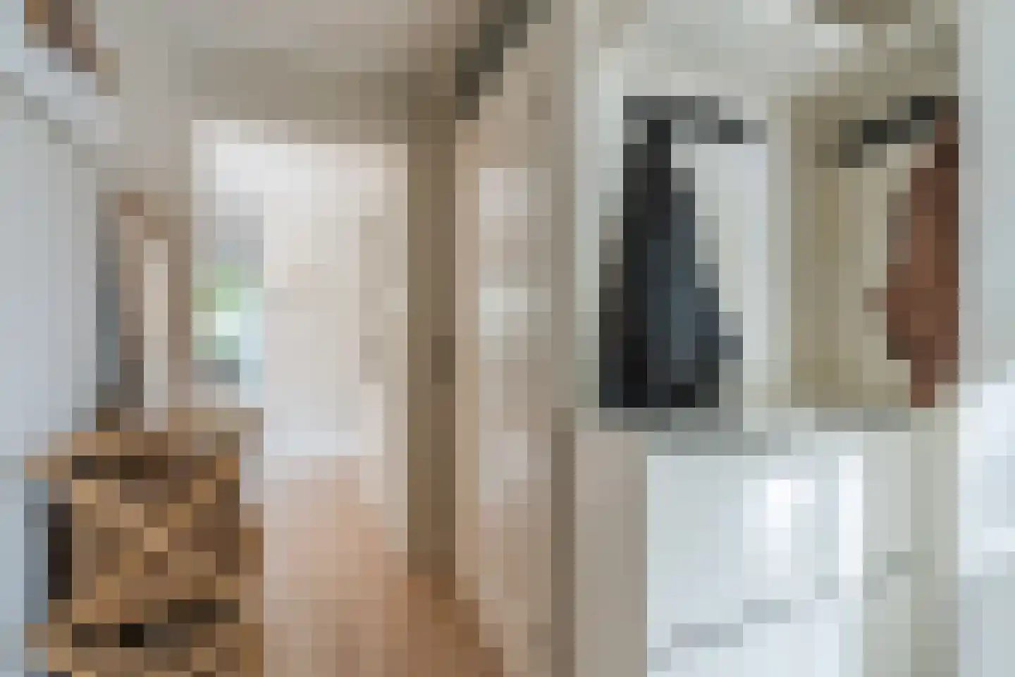 Bachlaan 46 Eindhoven thumbnail 4