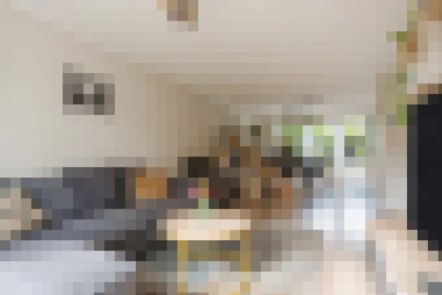 Bachlaan 46 Eindhoven thumbnail 8