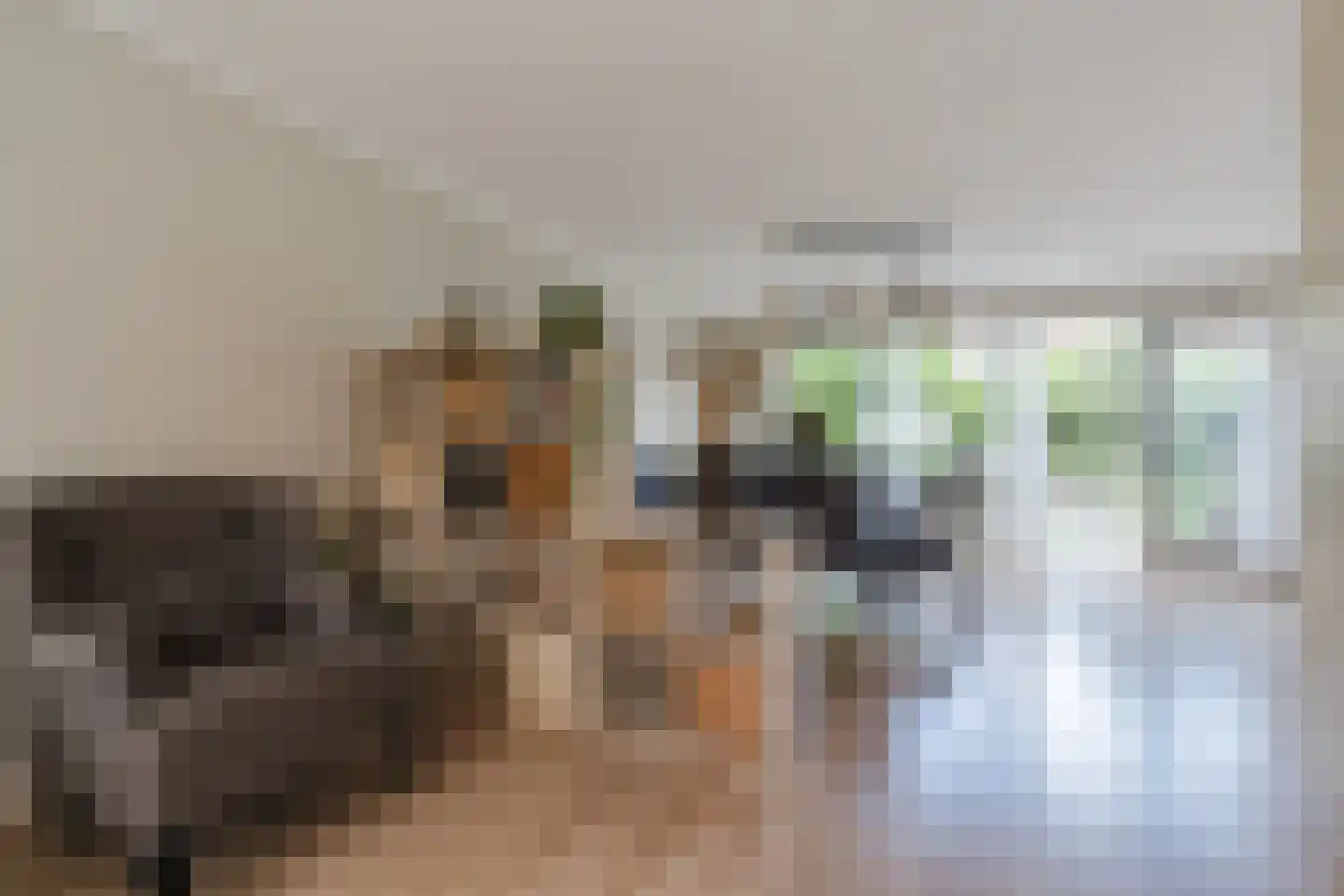 Bachlaan 46 Eindhoven thumbnail 9