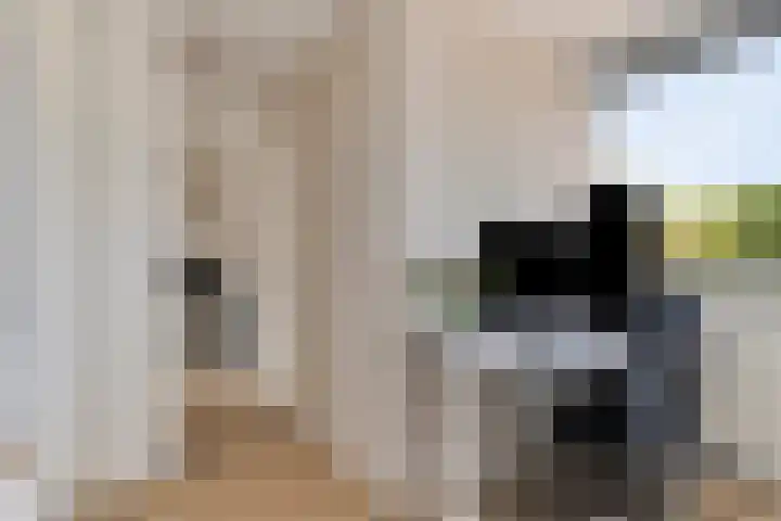 Bachlaan 46 Naaldwijk thumbnail 15