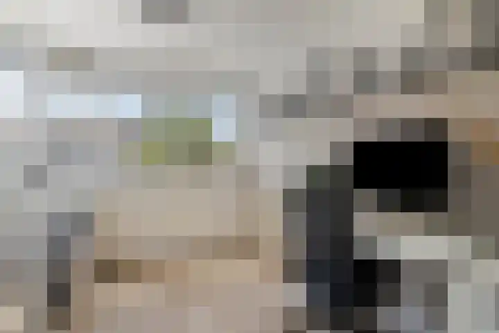 Bachlaan 46 Naaldwijk thumbnail 17