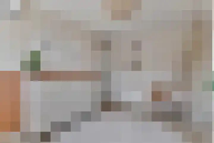Bachlaan 46 Naaldwijk thumbnail 18