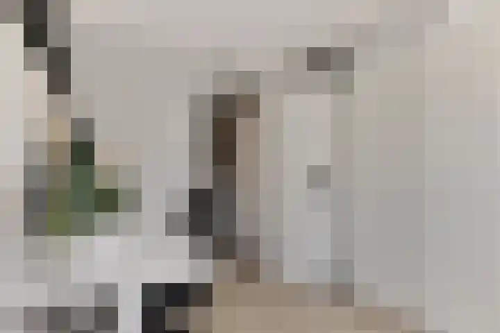 Bachlaan 46 Naaldwijk thumbnail 19