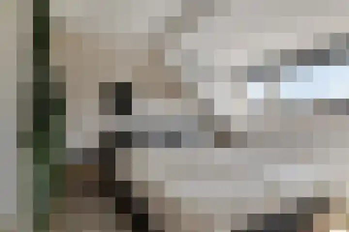 Bachlaan 46 Naaldwijk thumbnail 20