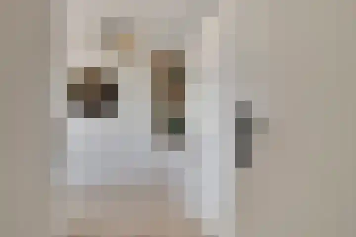 Bachlaan 46 Naaldwijk thumbnail 22