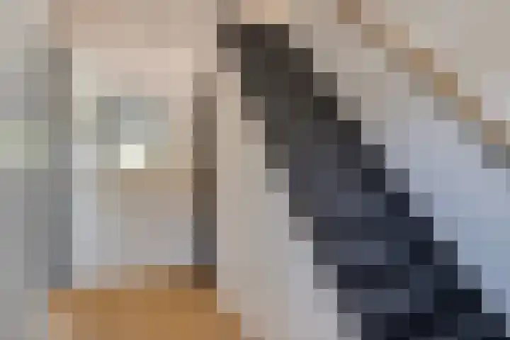 Bachlaan 46 Naaldwijk thumbnail 23