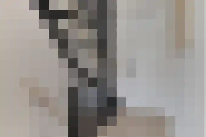 Bachlaan 46 Naaldwijk thumbnail 24