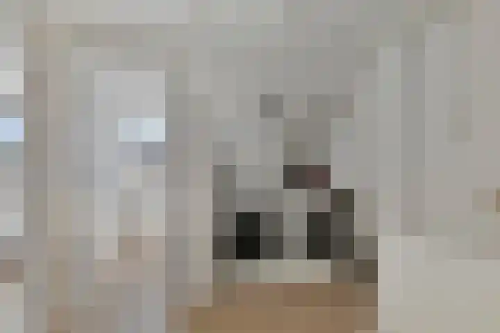 Bachlaan 46 Naaldwijk thumbnail 25