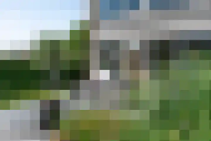 Bachlaan 46 Naaldwijk thumbnail 35