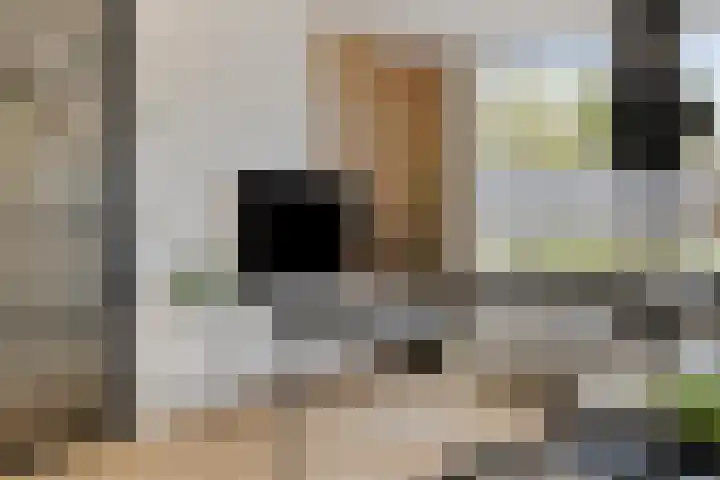 Bachlaan 46 Naaldwijk thumbnail 7
