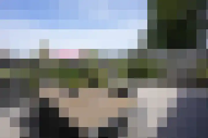 Bachlaan 49 Landgraaf thumbnail 22