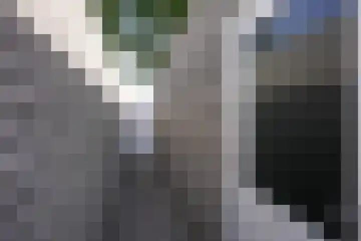 Bachlaan 49 Landgraaf thumbnail 27