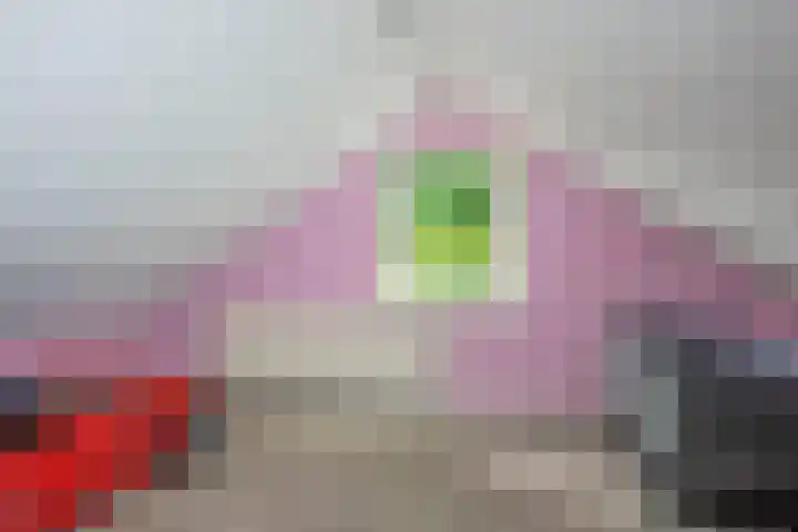 Bachlaan 5 Almelo thumbnail 23