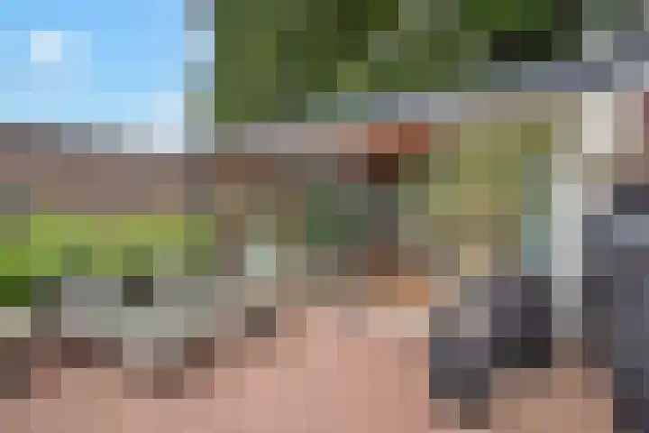 Bachlaan 5 Almelo thumbnail 28