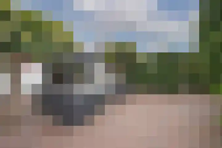 Bachlaan 5 Almelo thumbnail 34