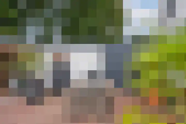 Bachlaan 5 Almelo thumbnail 37