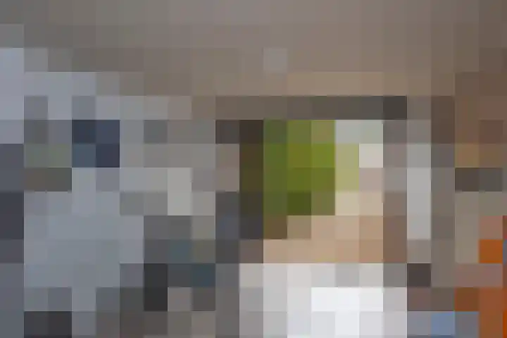 Bachlaan 5 Almelo thumbnail 38