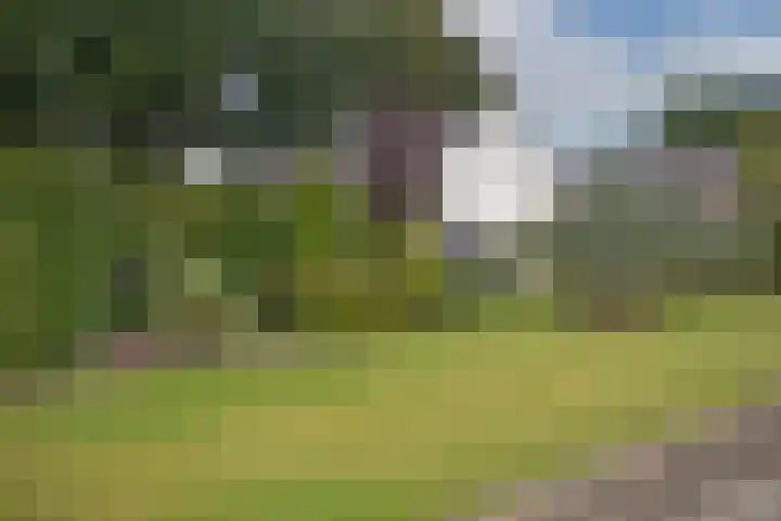 Bachlaan 5 Almelo thumbnail 39