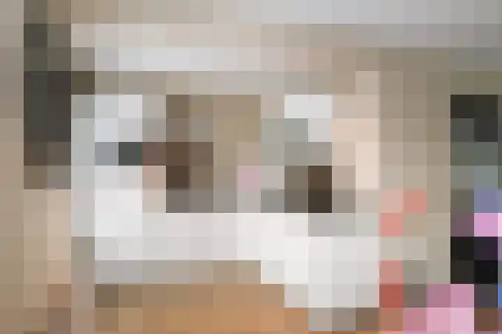 Bachlaan 5 Apeldoorn thumbnail 10