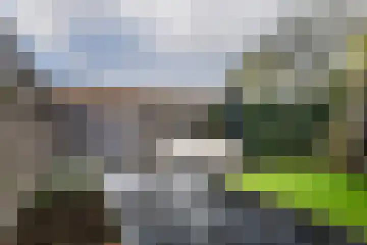 Bachlaan 5 Apeldoorn thumbnail 14