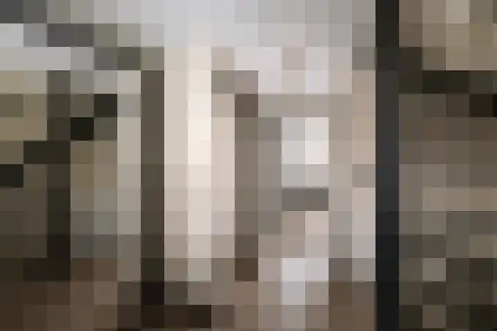 Bachlaan 5 Apeldoorn thumbnail 16