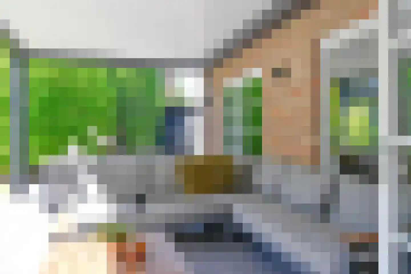 Bachlaan 5 Huizen thumbnail 14