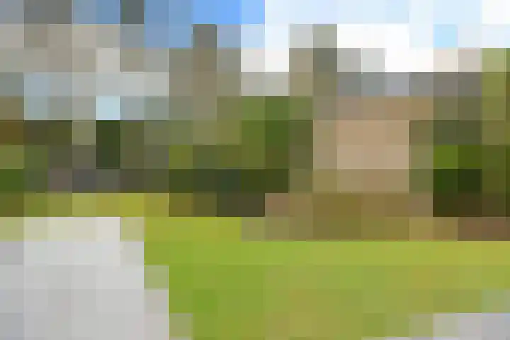 Bachlaan 5 Huizen thumbnail 16