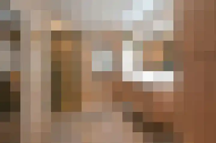 Bachlaan 5 Huizen thumbnail 21