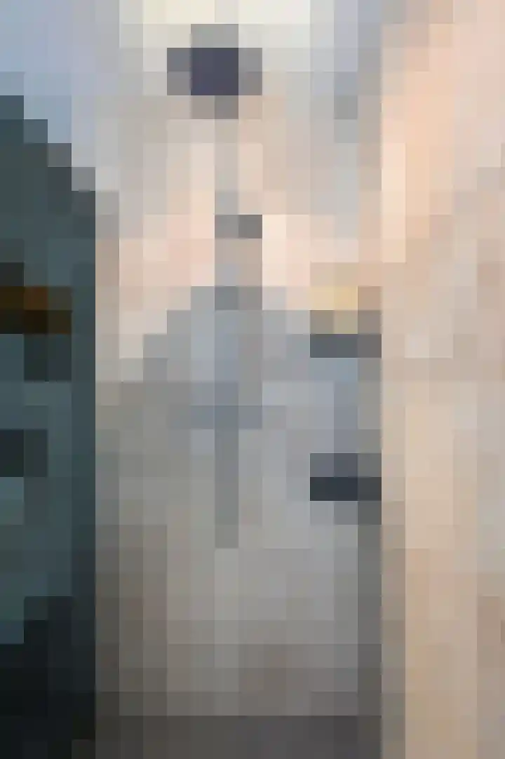 Bachlaan 5 Huizen thumbnail 22