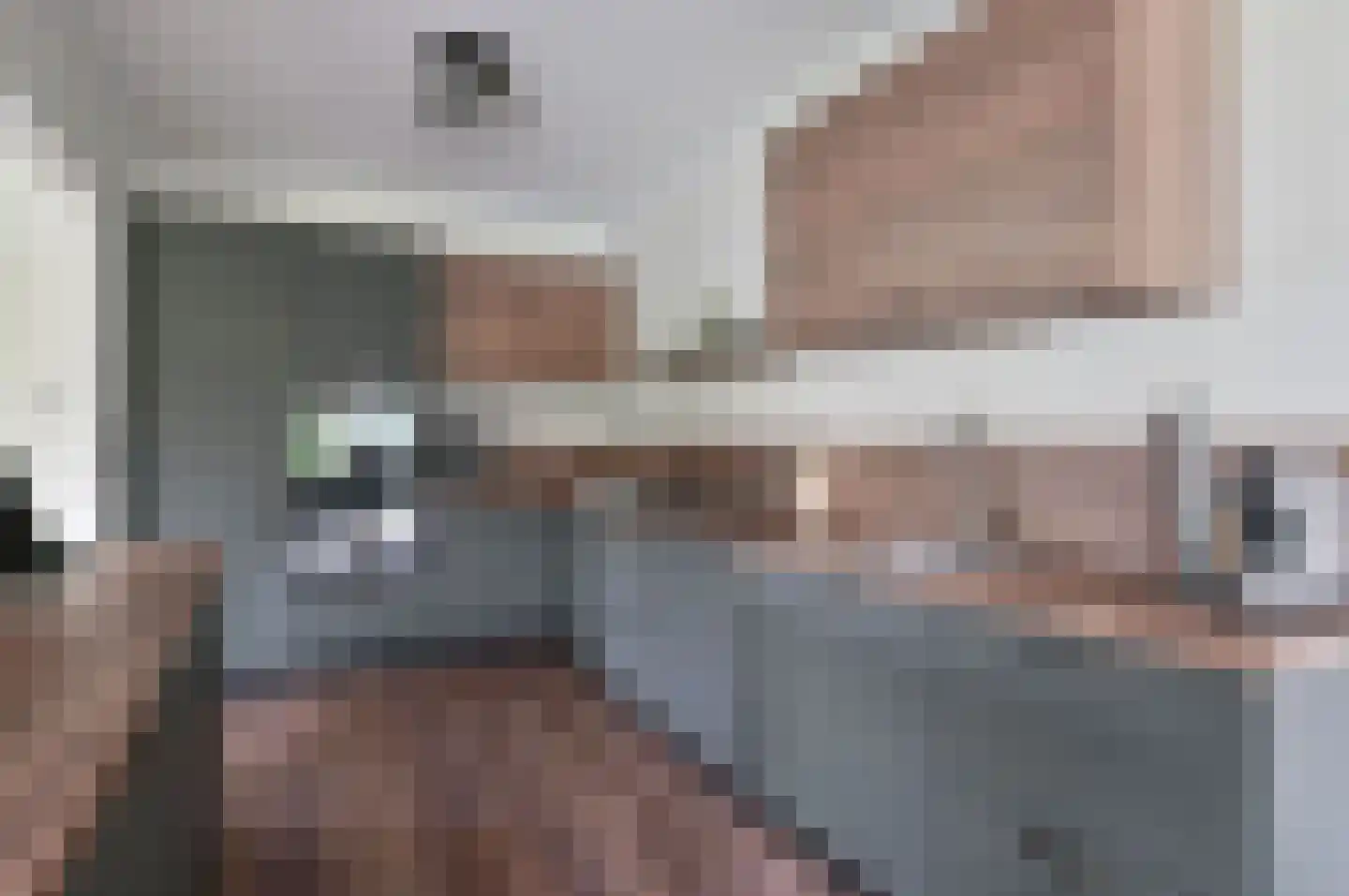 Bachlaan 5 Huizen thumbnail 27