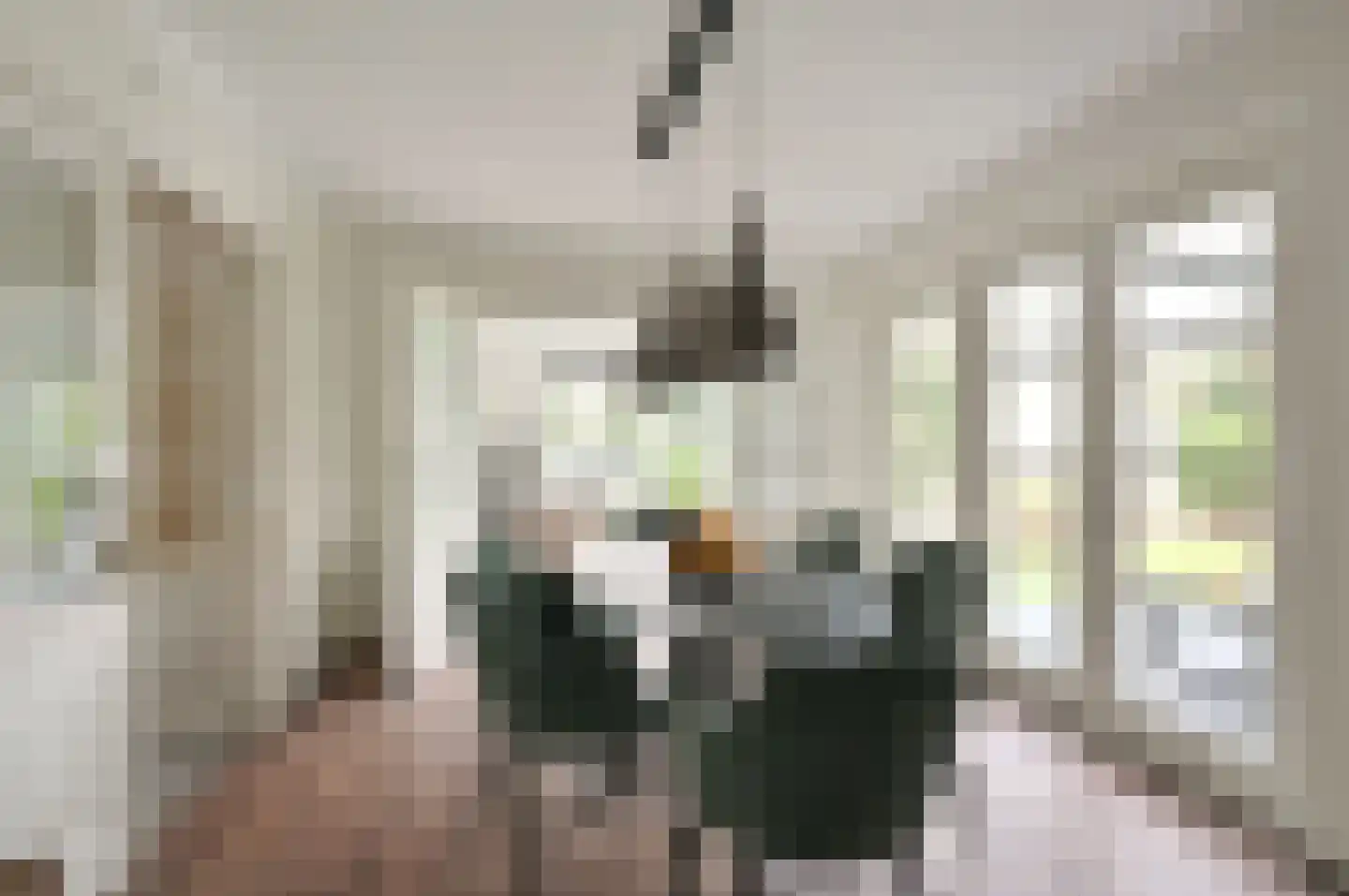 Bachlaan 5 Huizen thumbnail 29