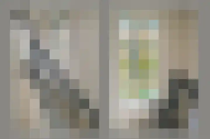 Bachlaan 5 Huizen thumbnail 32
