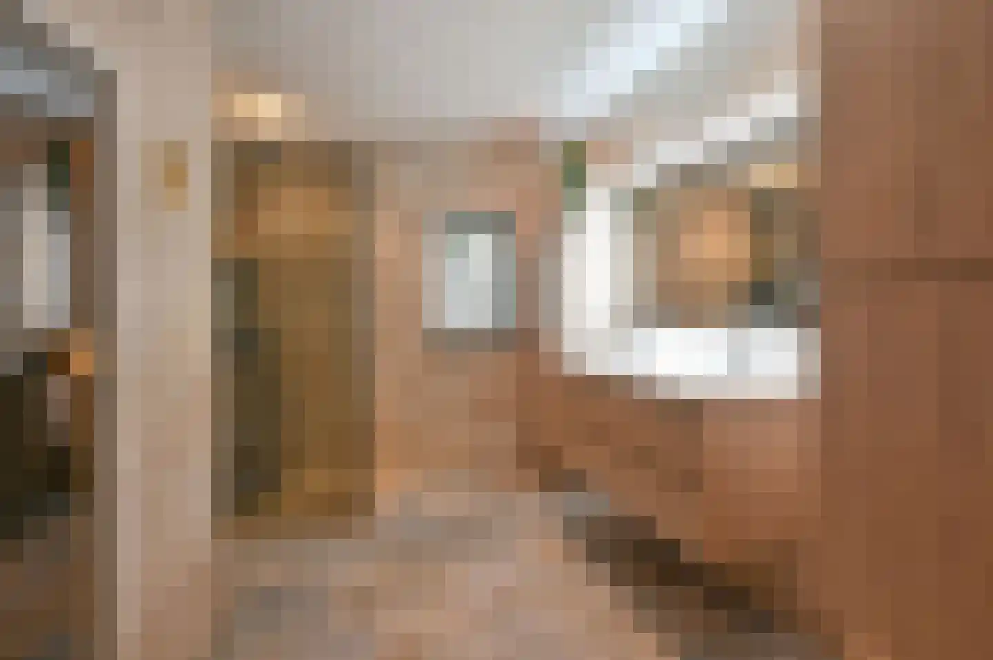 Bachlaan 5 Huizen thumbnail 33